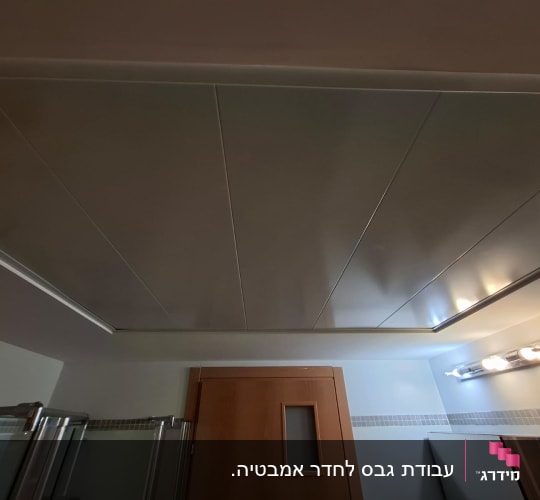 תקרה עם לוחות ותאורה בחדר אמבטיה